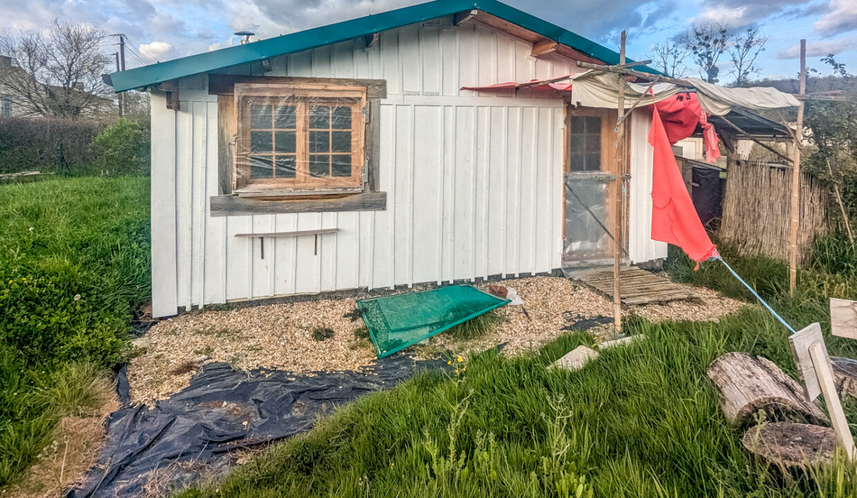 photo_ce9254fd413a2910ef3826a3b10b24ed