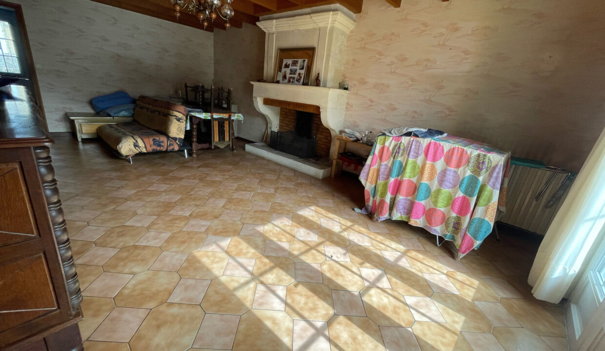 photo_d913860c5f00a15c010c9c3bbd6315c3