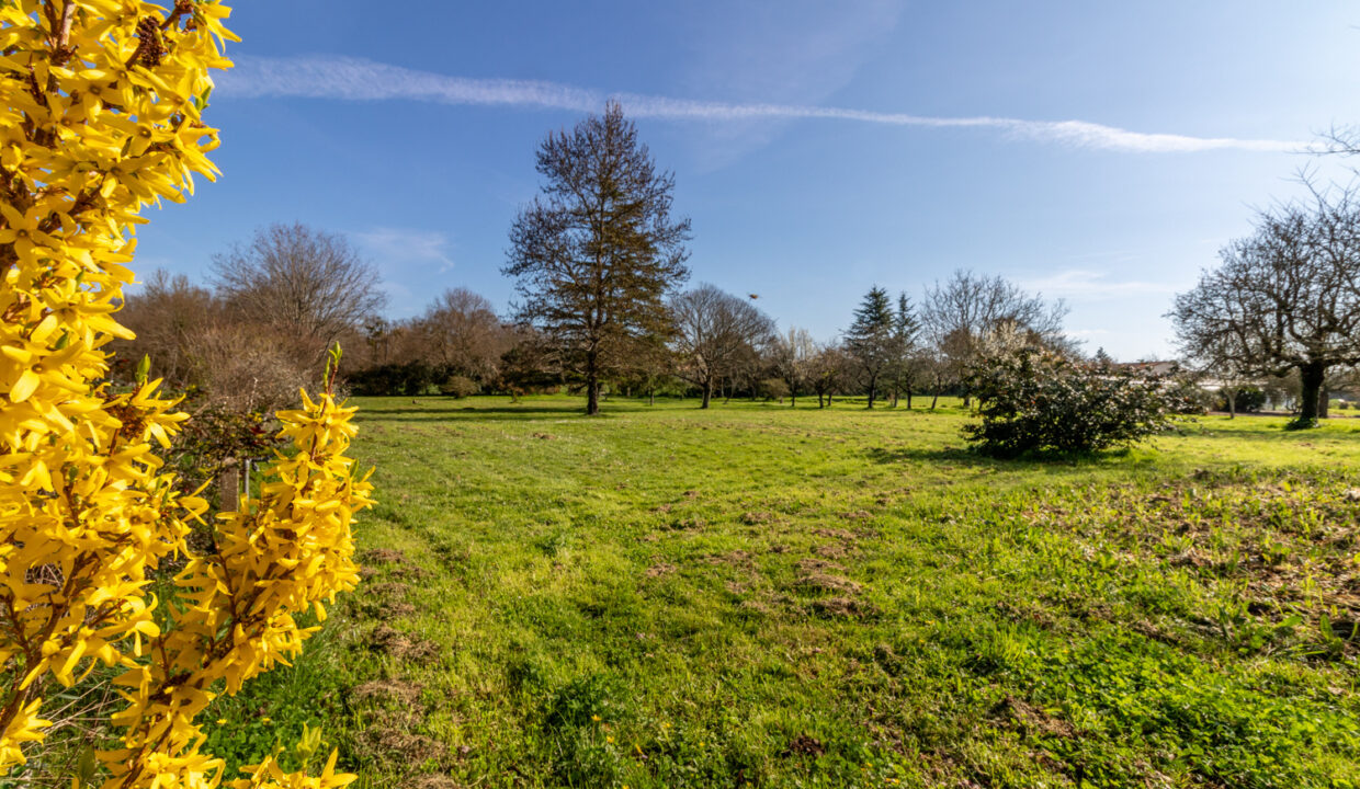 photo_f2fc24e2492e5f79e5b31fe42dcdd988