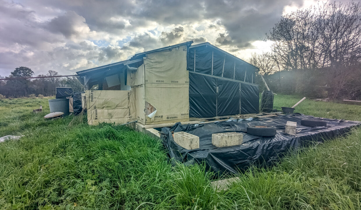 photo_f905a7079390263b20d9ef2e18b72641