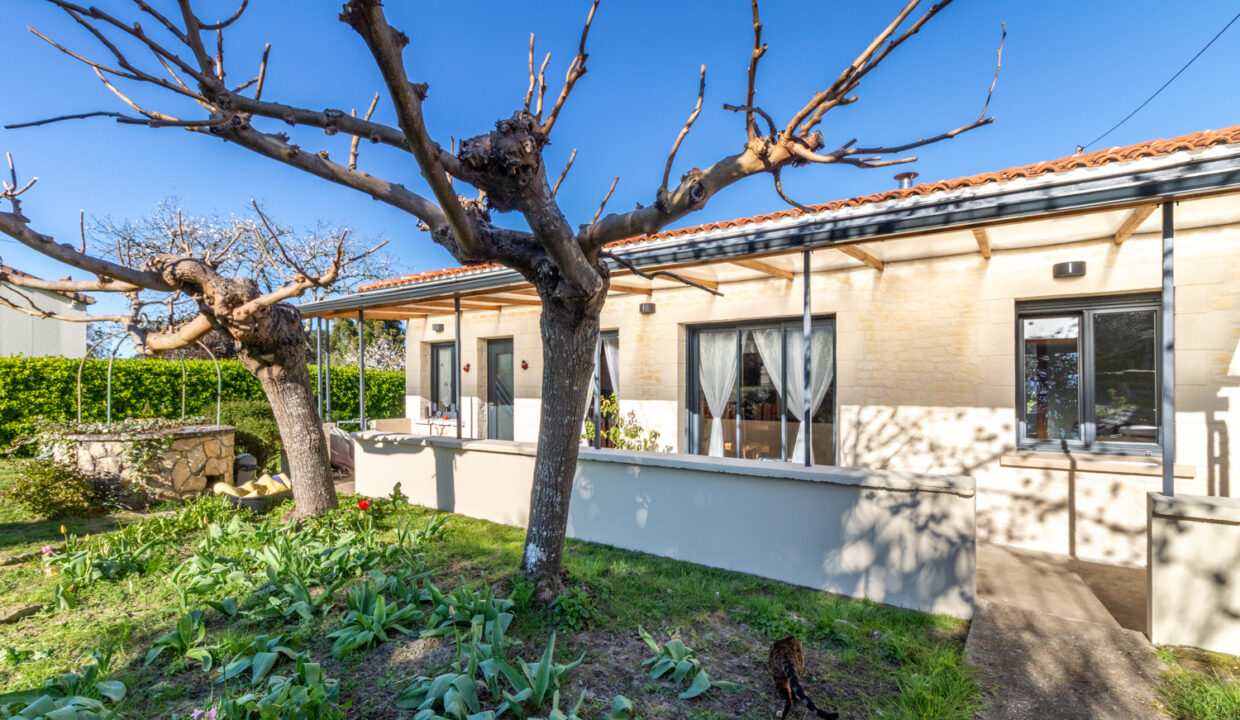 photo_08fc485e7524be73d09991348e663031