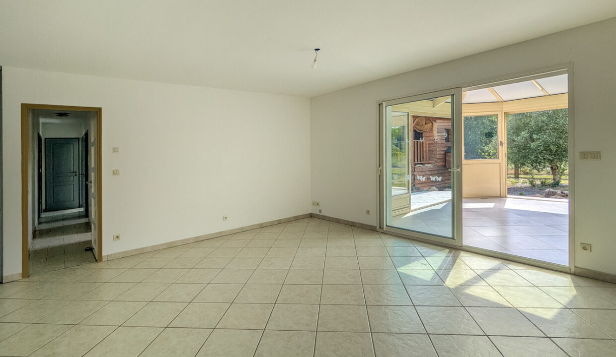 photo_451484d0f6b2faca5f2c267e7577a02b