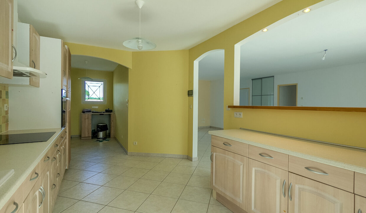 photo_9808aec064d2116a22ec773a7ee88f8b