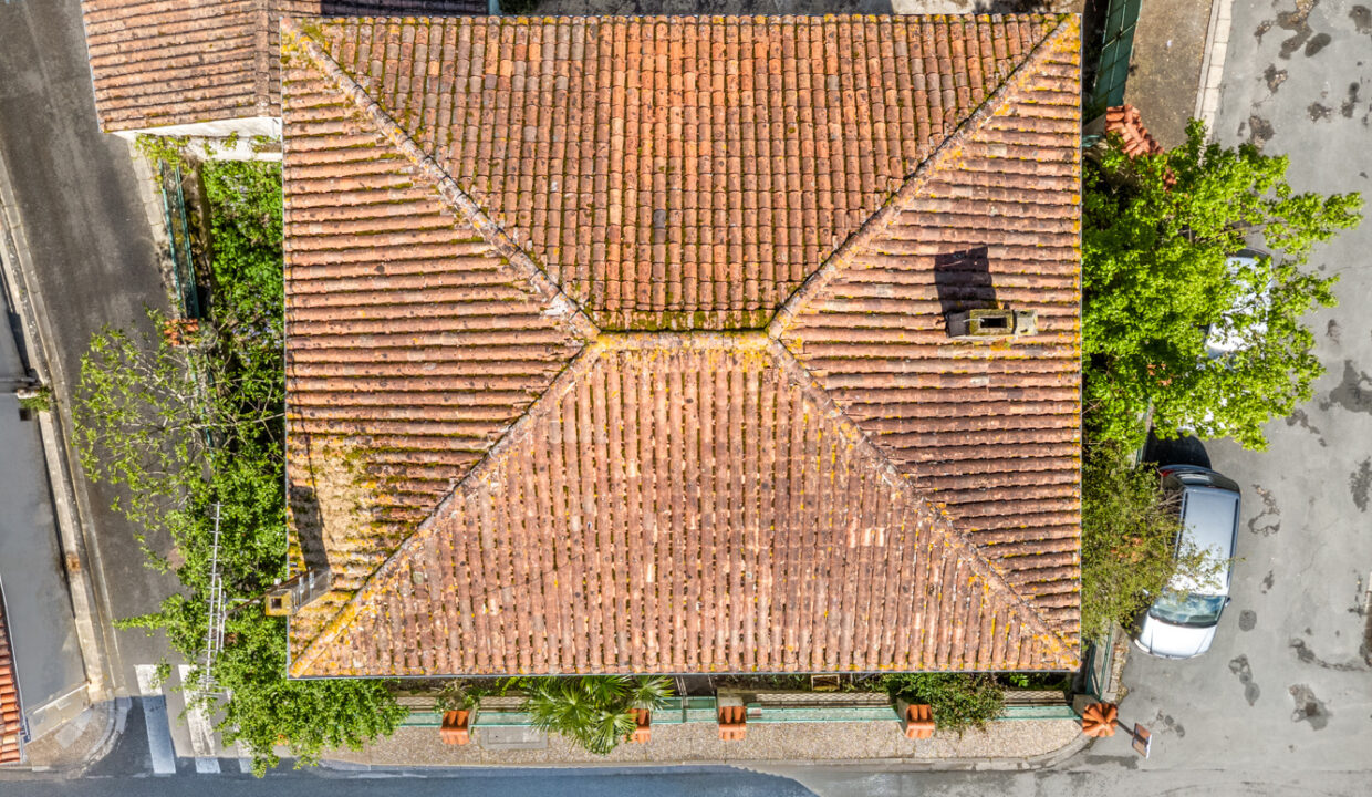 photo_c3af4ee4b22ae280020a9a3392bff7ae