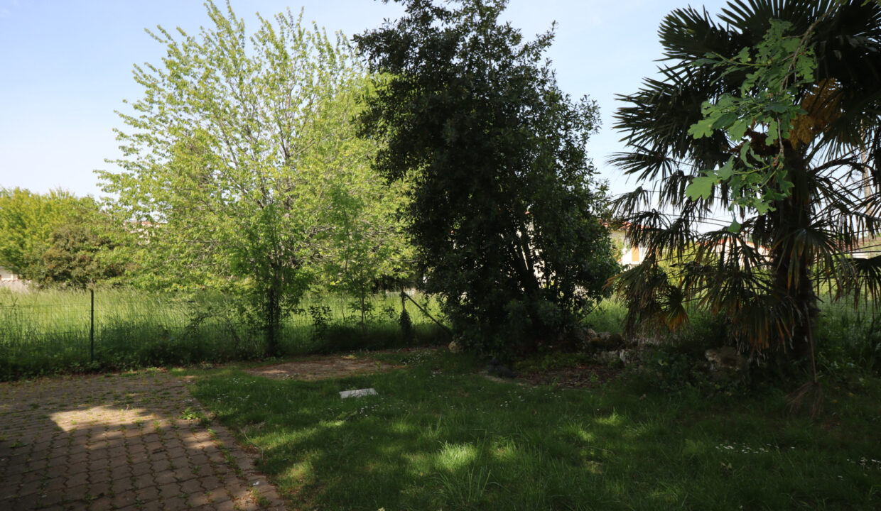 photo_c3b97f498dc42f35ff8ab17301afdb6c