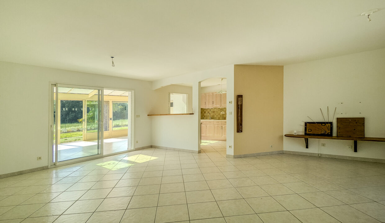 photo_cf05bb2c7dccf366e8bc497935dc4915