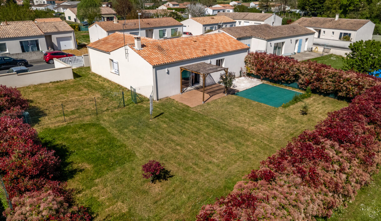 photo_cf9dbe5973188154215d3c78ad84a821