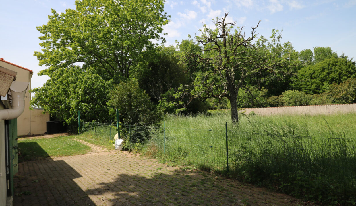 photo_e6a751756e301f4f6be722ead8a5bf81