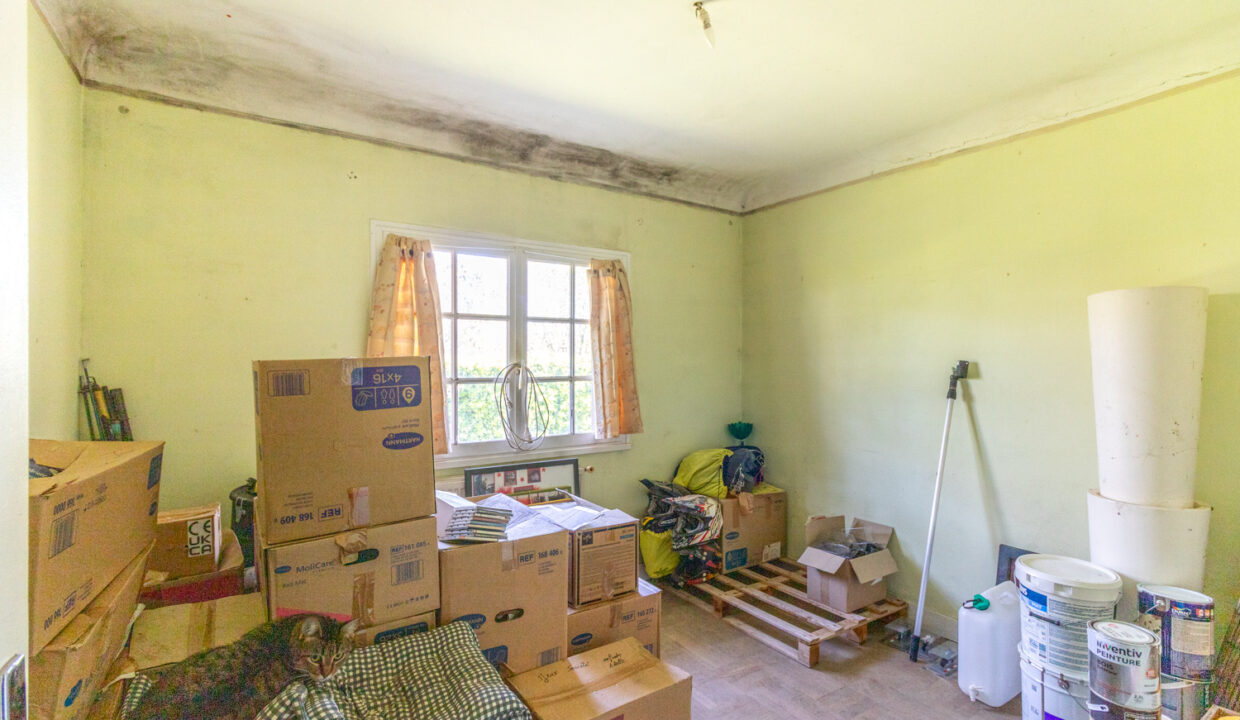 photo_e92fcf4295c37fd7be2256506800b943