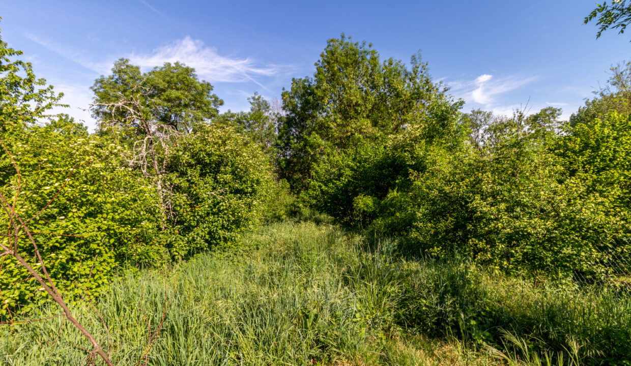 photo_ea47e6982d72715e9e66accc1274ea96