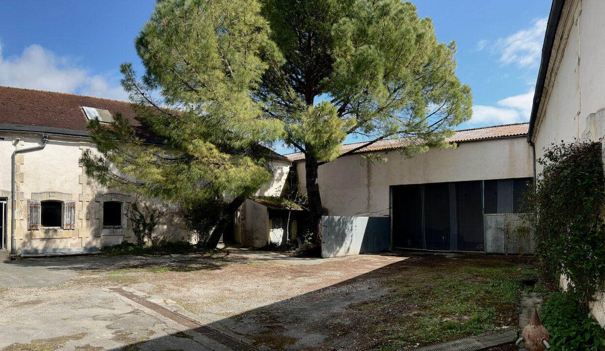 photo_efc3f3329f456ac66c05a4b6401e158a