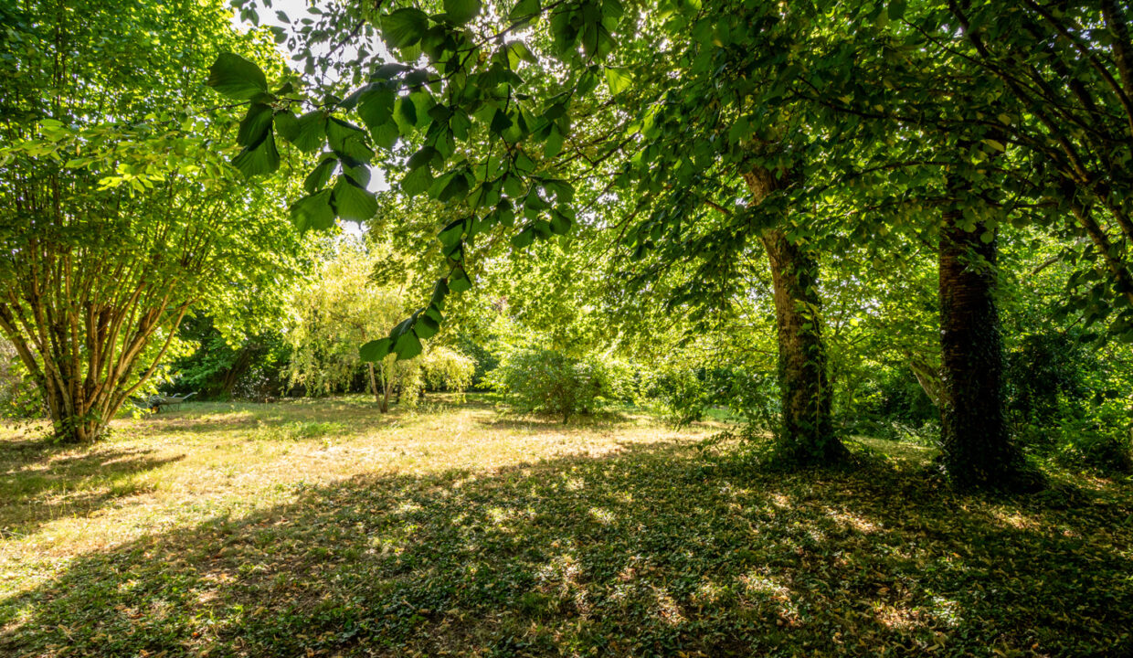 photo_2719a9e5cd3873b7b01fe51d47775134